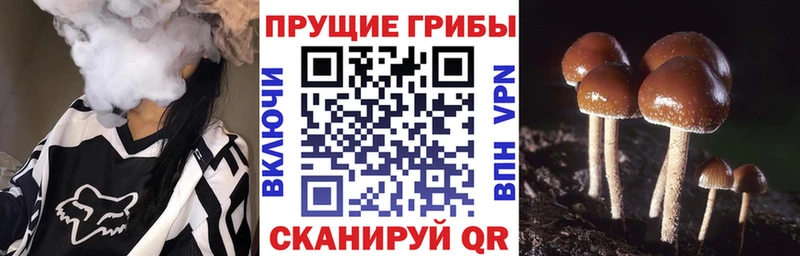 Галлюциногенные грибы Magic Shrooms  omg ONION  Среднеколымск 